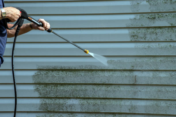 Boat and Dock Cleaning in Home Garden, CA