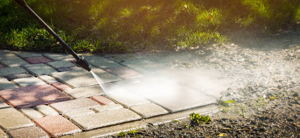 Best Roof Washing  in Home Garden, CA
